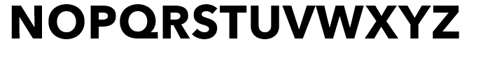 Avenir Next Bold Font UPPERCASE