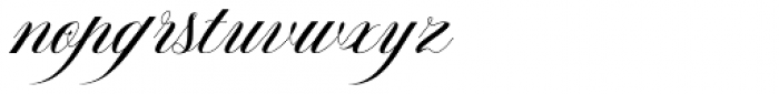 Avelon Script Regular Font LOWERCASE