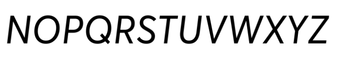 Averta Standard PE Variable Italic Font UPPERCASE