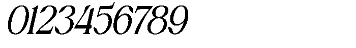 Avoxan Slant Bold Font OTHER CHARS