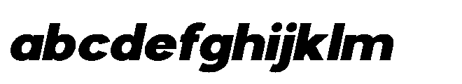 Avtech Black Semi Expanded Slanted FONT