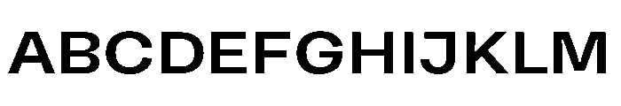 AvenueTRIAL Bold Font UPPERCASE