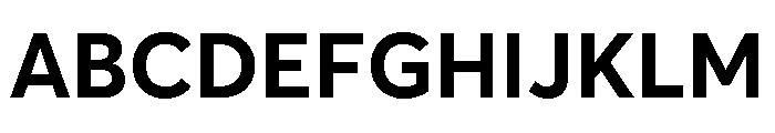 AvertaPENormal Bold Font UPPERCASE