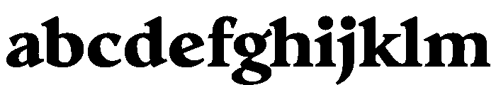AvonaSerif Black Instance FONT