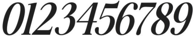 Awesome Serif Italic Bold Tall otf (700) Font OTHER CHARS