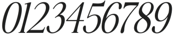 Awesome Serif Italic Extra Tall otf (400) Font OTHER CHARS