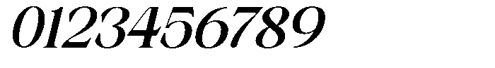 Axerifa Black Semi Expanded Italic Font OTHER CHARS