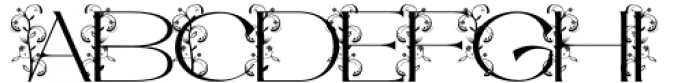 Axmiq Richard Monogram Font LOWERCASE