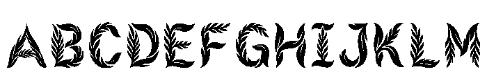 Ayan Regular FONT
