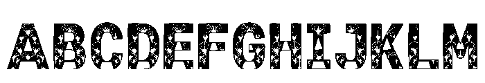 Ayna Regular Font UPPERCASE