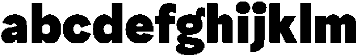Ayr Neutral Black otf (900) FONT