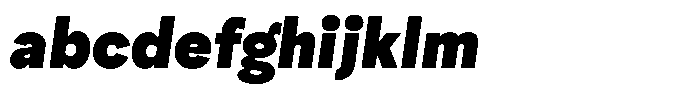 Ayr Neutral Black Italic FONT