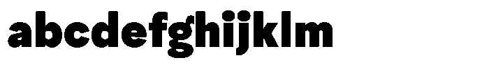 Ayr Neutral Black FONT