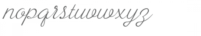 Ayla Script Font LOWERCASE