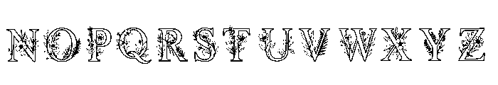 Azim Regular Font UPPERCASE