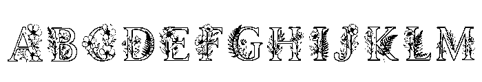 Azim Regular FONT