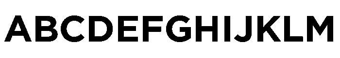 Basenji Variable Bold Font UPPERCASE