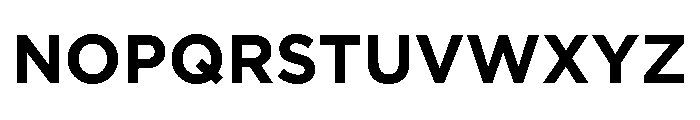 Basenji Variable Bold Font UPPERCASE
