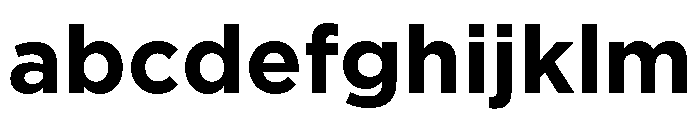 Basenji Variable Bold FONT