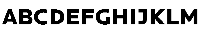 Basenji Variable Heavy Font UPPERCASE