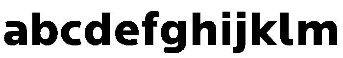 Basenji Variable Heavy FONT