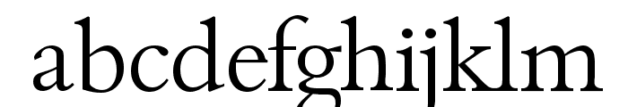 BambergSerial-Light-Regular Font LOWERCASE