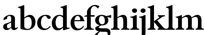 BambergSerial-Medium-Regular Font LOWERCASE