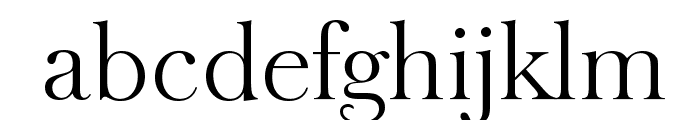 BaskerOldSerial-Light-Regular Font LOWERCASE
