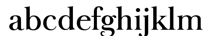 BaskerOldSerial-Medium-Regular Font LOWERCASE
