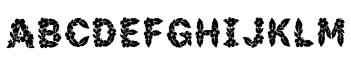 Baha Regular FONT