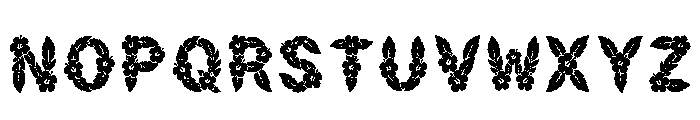 Baha Regular Font LOWERCASE