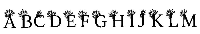 Baker Regular Font UPPERCASE