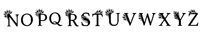Baker Regular Font LOWERCASE