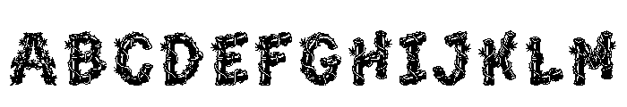 Barael Regular FONT