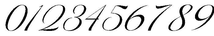 Barleina Calligraphy Italic Reg Font OTHER CHARS
