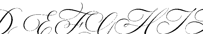Barleina Calligraphy Italic Reg Font UPPERCASE