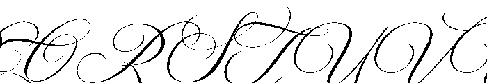 Barleina Calligraphy Italic Reg Font UPPERCASE