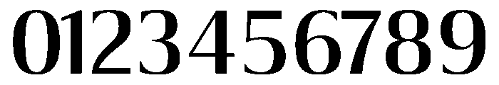 BaseForm Font OTHER CHARS