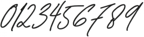 BacedaSignature otf (400) Font OTHER CHARS