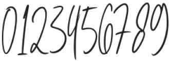 Badriyas Signature Regular otf (400) Font OTHER CHARS