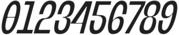 Banigar Condensed Medium Italic otf (500) Font OTHER CHARS