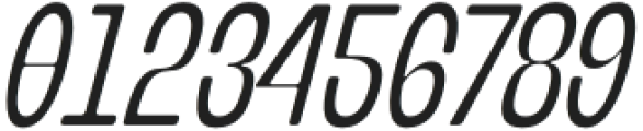 Banigar Round Condensed Italic otf (400) Font OTHER CHARS
