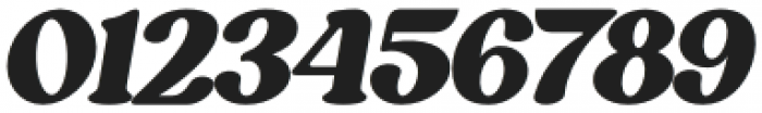 Bargie Italic otf (400) Font OTHER CHARS