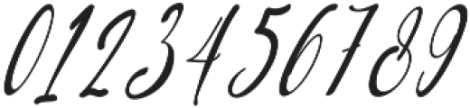 Baropetha Signature_Italic1 ttf (400) Font OTHER CHARS