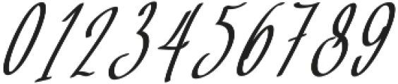 Baropetha Signature_Italic2 ttf (400) Font OTHER CHARS