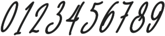 Baropetha Signature_Italic3 ttf (400) Font OTHER CHARS