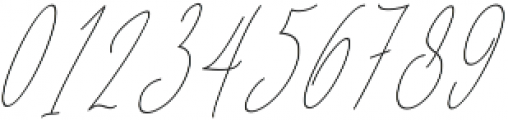 Baropetha Signature_Italic5 ttf (400) Font OTHER CHARS