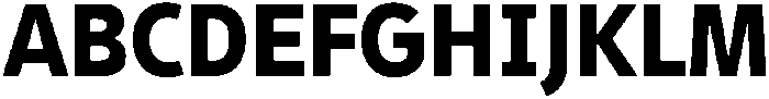 Barrierefrei Sans Heavy otf (800) Font UPPERCASE