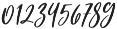Bashira Italic otf (400) Font OTHER CHARS
