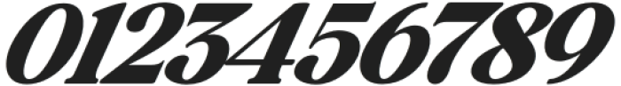 Baskerville Display Pro Black Contrast Expanded Italic otf (900) Font OTHER CHARS